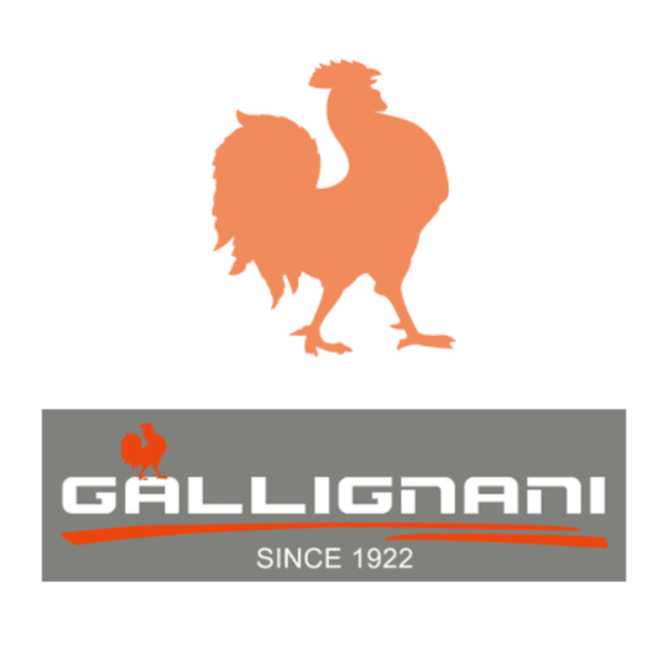Imagen del logotipo de Gallignani