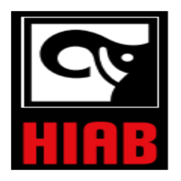 Imagen del logotipo de Hiab