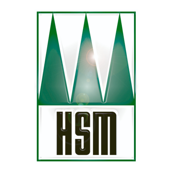 Imagen del logotipo de HSM
